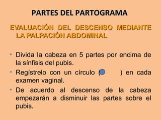 PARTES DEL PARTOGRAMAPARTES DEL PARTOGRAMA
EVALUACIÓN DEL DESCENSO MEDIANTEEVALUACIÓN DEL DESCENSO MEDIANTE
LA PALPACIÓN ABDOMINALLA PALPACIÓN ABDOMINAL
• Divida la cabeza en 5 partes por encima de
la sínfisis del pubis.
• Regístrelo con un círculo ( ) en cada
examen vaginal.
• De acuerdo al descenso de la cabeza
empezarán a disminuir las partes sobre el
pubis.
 