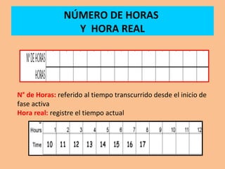 NÚMERO DE HORAS
Y HORA REAL
N° de Horas: referido al tiempo transcurrido desde el inicio de
fase activa
Hora real: registre el tiempo actual
 