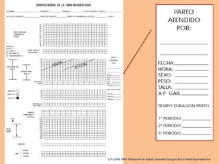 GNAISR 2004 Ministerio de Salud Atención Integral de la Salud Reproductiva
 
