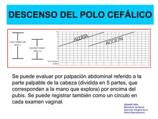DESCENSO DEL POLO CEFÁLICO
Se puede evaluar por palpación abdominal referido a la
parte palpable de la cabeza (dividida en 5 partes, que
corresponden a la mano que explora) por encima del
pubis. Se puede registrar también como un círculo en
cada examen vaginal. GNAISR 2004
Ministerio de Salud
Atención Integral de la
Salud Reproductiva
 