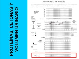 PROTEÍNAS,
CETONAS
Y
VOLUMEN
URINARIO
 