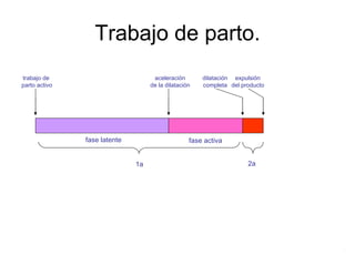 Trabajo de parto.
fase latente fase activa
1a 2a
dilatación
completa
expulsión
del producto
trabajo de
parto activo
aceleración
de la dilatación
.
 