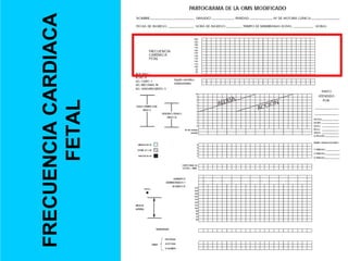 FRECUENCIA CARDIACA FETAL 
