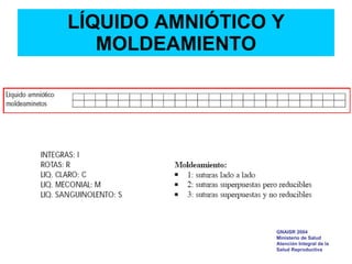 LÍQUIDO AMNIÓTICO Y MOLDEAMIENTO GNAISR 2004 Ministerio de Salud Atención Integral de la Salud Reproductiva 