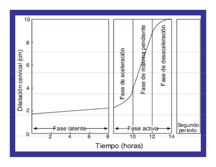 Partograma Oms Guia De Utilizacion Y Formato Hnseb