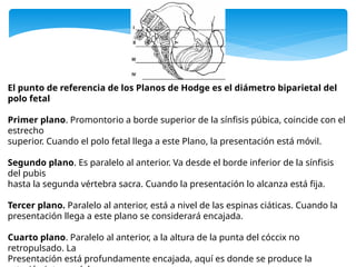 El punto de referencia de los Planos de Hodge es el diámetro biparietal del
polo fetal
Primer plano. Promontorio a borde superior de la sínfisis púbica, coincide con el
estrecho
superior. Cuando el polo fetal llega a este Plano, la presentación está móvil.
Segundo plano. Es paralelo al anterior. Va desde el borde inferior de la sínfisis
del pubis
hasta la segunda vértebra sacra. Cuando la presentación lo alcanza está fija.
Tercer plano. Paralelo al anterior, está a nivel de las espinas ciáticas. Cuando la
presentación llega a este plano se considerará encajada.
Cuarto plano. Paralelo al anterior, a la altura de la punta del cóccix no
retropulsado. La
Presentación está profundamente encajada, aquí es donde se produce la
 