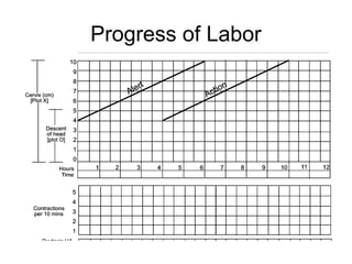 Progress of Labor
 