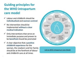 Partograph  / WHO Labour Care Guide.pptx
