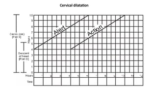 Cervical dilatation
 