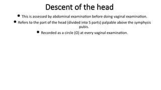 Descent of the head
This is assessed by abdominal examination before doing vaginal examination.
Refers to the part of the head (divided into 5 parts) palpable above the symphysis
pubis.
Recorded as a circle (O) at every vaginal examination.
 