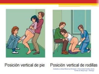 Cuidados en Salud Materna Perinatal. Universidad Católica Santo
                               Toribio de Mogrovejo - Chiclayo.
 