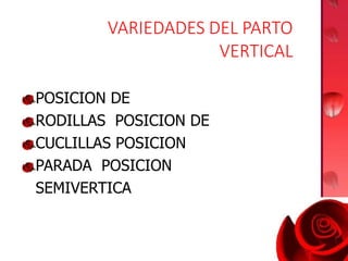 VARIEDADES DEL PARTO
VERTICAL
POSICION DE
RODILLAS POSICION DE
CUCLILLAS POSICION
PARADA POSICION
SEMIVERTICAL
 