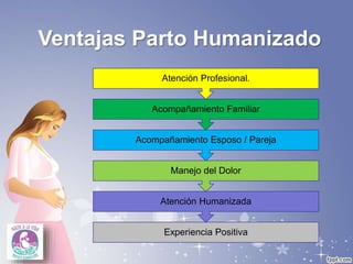 Ventajas Parto Humanizado
Experiencia Positiva
Atención Humanizada
Manejo del Dolor
Acompañamiento Esposo / Pareja
Acompañamiento Familiar
Atención Profesional.
 