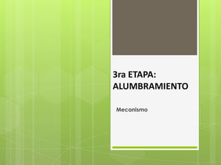 3ra ETAPA:
ALUMBRAMIENTO
Mecanismo
 