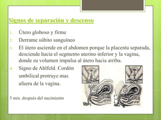 Signos de separación y descenso
1. Útero globoso y firme
2. Derrame súbito sanguíneo
3. El útero asciende en el abdomen porque la placenta separada,
desciende hacia el segmento uterino inferior y la vagina,
donde su volumen impulsa al útero hacia arriba.
4. Signo de Ahlfeld. Cordón
umbilical protruye mas
afuera de la vagina.
5 min. después del nacimiento
 