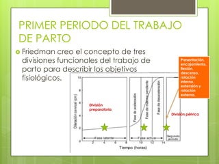 PRIMER PERIODO DEL TRABAJO
DE PARTO
 Friedman creo el concepto de tres
divisiones funcionales del trabajo de
parto para describir los objetivos
fisiológicos.
Presentación,
encajamiento,
flexión,
descenso,
rotación
interna,
extensión y
rotación
externa.
División
preparatoria
División pélvica
 