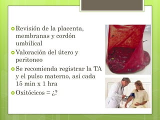 Revisión de la placenta,
membranas y cordón
umbilical
Valoración del útero y
peritoneo
Se recomienda registrar la TA
y el pulso materno, así cada
15 min x 1 hra
Oxitócicos = ¿?
 