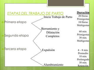 ETAPAS DEL TRABAJO DE PARTO
 Primera etapa
 Segunda etapa
 Tercera etapa
Alumbramiento
Expulsión
Borramiento y
Dilatación
Completos
Inicia Trabajo de Parto
Duración
20 Horas
Primigestas
18 Horas
Multigestas
60 min.
Primigestas
30 min.
Multigestas
4 – 8 min.
Promedio
10 min.
Prolongado
30 min.
Retención
 