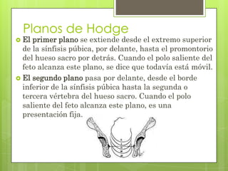 Planos de Hodge
 El primer plano se extiende desde el extremo superior
de la sínfisis púbica, por delante, hasta el promontorio
del hueso sacro por detrás. Cuando el polo saliente del
feto alcanza este plano, se dice que todavía está móvil.
 El segundo plano pasa por delante, desde el borde
inferior de la sínfisis púbica hasta la segunda o
tercera vértebra del hueso sacro. Cuando el polo
saliente del feto alcanza este plano, es una
presentación fija.
 