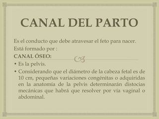 CANAL DEL PARTOEs el conducto que debe atravesar el feto para nacer.Está formado por :CANAL ÓSEO:• Es la pelvis.• Considerando que el diámetro de la cabeza fetal es de 10 cm, pequeñas variaciones congénitas o adquiridas en la anatomía de la pelvis determinarán distocias mecánicas que habrá que resolver por vía vaginal o abdominal. 