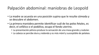 Palpación abdominal: maniobras de Leopold
• La madre se acuesta en una posición supina que le resulte cómoda y
se descubre el abdomen.
• La primera maniobra permite identificar cuál de los polos fetales, es
decir, el cefálico o el podálico, ocupa el fondo uterino.
• La presentación pélvica produce la sensación de una masa grande y nodular.
• La cabeza se percibe dura y redonda y es más móvil y susceptible de peloteo.
 