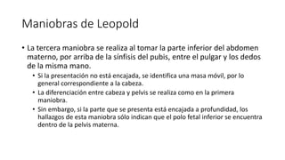 Maniobras de Leopold
• La tercera maniobra se realiza al tomar la parte inferior del abdomen
materno, por arriba de la sínfisis del pubis, entre el pulgar y los dedos
de la misma mano.
• Si la presentación no está encajada, se identifica una masa móvil, por lo
general correspondiente a la cabeza.
• La diferenciación entre cabeza y pelvis se realiza como en la primera
maniobra.
• Sin embargo, si la parte que se presenta está encajada a profundidad, los
hallazgos de esta maniobra sólo indican que el polo fetal inferior se encuentra
dentro de la pelvis materna.
 