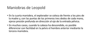 Maniobras de Leopold
• En la cuarta maniobra, el explorador se coloca de frente a los pies de
la madre y, con las puntas de los primeros tres dedos de cada mano,
ejerce presión profunda en dirección al eje de la entrada pélvica.
• En muchos casos, cuando la cabeza ha descendido, es posible
diferenciar con facilidad en la pelvis el hombro anterior mediante la
tercera maniobra.
 