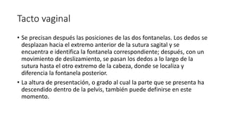 Tacto vaginal
• Se precisan después las posiciones de las dos fontanelas. Los dedos se
desplazan hacia el extremo anterior de la sutura sagital y se
encuentra e identifica la fontanela correspondiente; después, con un
movimiento de deslizamiento, se pasan los dedos a lo largo de la
sutura hasta el otro extremo de la cabeza, donde se localiza y
diferencia la fontanela posterior.
• La altura de presentación, o grado al cual la parte que se presenta ha
descendido dentro de la pelvis, también puede definirse en este
momento.
 