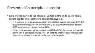 Presentación occipital anterior
• En la mayor parte de los casos, el vértice entra en la pelvis con la
sutura sagital en el diámetro pélvico transverso.
• El feto entra en la pelvis en posición occipital transversa izquierda (LOT, left
occiput transverse) en 40% de los casos y en occipital transversa derecha
(ROT, right occiput transverse) en 20%.
• En las posiciones occipitales anteriores (LOA o ROA), la cabeza entra en la
pelvis con el occipucio rotado a 45° en sentido anterior desde la posición
transversa, o bien, la rotación se lleva a cabo después.
 
