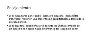 Encajamiento
• Es el mecanismo por el cual el diámetro biparietal (el diámetro
transversal mayor en una presentación occipital) pasa a través de la
entrada pélvica.
• La cabeza fetal puede encajarse durante las últimas semanas del
embarazo o no hacerlo hasta el comienzo del trabajo de parto.
 