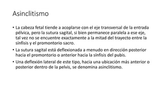 Asinclitismo
• La cabeza fetal tiende a acoplarse con el eje transversal de la entrada
pélvica, pero la sutura sagital, si bien permanece paralela a ese eje,
tal vez no se encuentre exactamente a la mitad del trayecto entre la
sínfisis y el promontorio sacro.
• La sutura sagital está deflexionada a menudo en dirección posterior
hacia el promontorio o anterior hacia la sínfisis del pubis.
• Una deflexión lateral de este tipo, hacia una ubicación más anterior o
posterior dentro de la pelvis, se denomina asinclitismo.
 