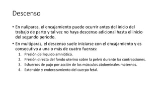 Descenso
• En nulíparas, el encajamiento puede ocurrir antes del inicio del
trabajo de parto y tal vez no haya descenso adicional hasta el inicio
del segundo periodo.
• En multíparas, el descenso suele iniciarse con el encajamiento y es
consecutivo a una o más de cuatro fuerzas:
1. Presión del líquido amniótico.
2. Presión directa del fondo uterino sobre la pelvis durante las contracciones.
3. Esfuerzos de pujo por acción de los músculos abdominales maternos.
4. Extensión y enderezamiento del cuerpo fetal.
 
