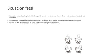 Situación fetal
• La relación entre el eje longitudinal del feto y el de la madre se denomina situación fetal y ésta puede ser longitudinal o
transversa.
• En ocasiones, los ejes fetal y materno se cruzan a un ángulo de 45 grados, lo cual genera una situación oblicua.
• En más de 99% de los trabajos de parto, la situación es longitudinal al término.
 