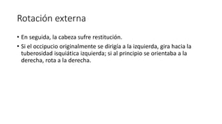 Rotación externa
• En seguida, la cabeza sufre restitución.
• Si el occipucio originalmente se dirigía a la izquierda, gira hacia la
tuberosidad isquiática izquierda; si al principio se orientaba a la
derecha, rota a la derecha.
 