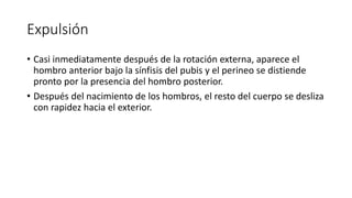 Expulsión
• Casi inmediatamente después de la rotación externa, aparece el
hombro anterior bajo la sínfisis del pubis y el perineo se distiende
pronto por la presencia del hombro posterior.
• Después del nacimiento de los hombros, el resto del cuerpo se desliza
con rapidez hacia el exterior.
 