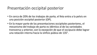 Presentación occipital posterior
• En cerca de 20% de los trabajos de parto, el feto entra a la pelvis en
una posición occipital posterior (OP).
• En la mayor parte de las presentaciones occipitales posteriores, el
mecanismo del trabajo de parto es idéntico al de las variedades
transversa y anterior, con la excepción de que el occipucio debe lograr
una rotación interna hacia la sínfisis púbica de 135°.
 