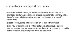 Presentación occipital posterior
• Las malas contracciones, la flexión insuficiente de la cabeza o la
analgesia epidural, que aminora el pujo muscular abdominal y relaja
los músculos del piso pélvico, pueden predisponer a la rotación
incompleta.
• Si esto ocurre, surge una detención en el plano transversal.
• Si no hay rotación hacia la sínfisis del pubis, el occipucio puede
mantenerse en una variedad posterior directa, circunstancia conocida
como variedad posterior persistente del occipucio.
 