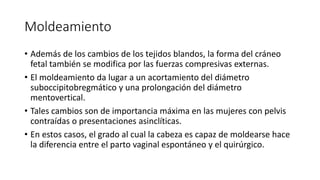 Moldeamiento
• Además de los cambios de los tejidos blandos, la forma del cráneo
fetal también se modifica por las fuerzas compresivas externas.
• El moldeamiento da lugar a un acortamiento del diámetro
suboccipitobregmático y una prolongación del diámetro
mentovertical.
• Tales cambios son de importancia máxima en las mujeres con pelvis
contraídas o presentaciones asinclíticas.
• En estos casos, el grado al cual la cabeza es capaz de moldearse hace
la diferencia entre el parto vaginal espontáneo y el quirúrgico.
 