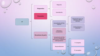 PP
Diagnostico
Palpación
Auscultación
Pronostico
Mecanismo de parto
Acomodación del Est.
superior
Orientación hacia un
diámetro oblicuo
pelviano
Aminoramiento o
reducción
Descenso y
encajamiento
Acomodación del Est.
Inf. Por rotación del
bitrocanterio al diámetro
anteroposterior
Desprendimiento
P. Completa
P. Incompleta