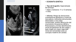 Universidad Nacional
Federico Villarreal
• ECOGRAFÍA GENÉTICA
• Tipo de Ecografía: Especializada
de tamizaje.
• Edad a realizarse: 11 a 13 semanas
+ 6 días.
• Informa: Riesgo de alteraciones
cromosómicas/genéticas a través de
marcadores, Anomalías estructurales
detectables a esta edad,
corionicidad, predice Restricción del
crecimiento intrauterino (RCIU) y
Preeclampsia y brinda identificación
inicial de gestantes de alto riesgo y
bajo riesgo con mayor seguridad
inicial de normalidad como un
concepto moderno de calidad.
 