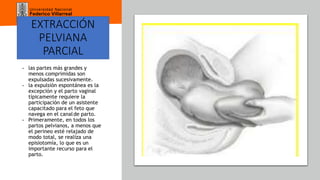 Universidad Nacional
Federico Villarreal
EXTRACCIÓN
PELVIANA
PARCIAL
• las partes más grandes y
menos comprimidas son
expulsadas sucesivamente.
• la expulsión espontánea es la
excepción y el parto vaginal
típicamente requiere la
participación de un asistente
capacitado para el feto que
navega en el canalde parto.
• Primeramente, en todos los
partos pelvianos, a menos que
el perineo esté relajado de
modo total, se realiza una
episiotomía, lo que es un
importante recurso para el
parto.
 