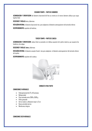 SEGUNDO TIEMPO - PARTO DE HOMBROS
ACOMODACION Y ORIENTACION del diámetro biacromial del feto se orienta en el mismo diámetro oblicuo que ocupo
lapelvis fetal.
DESCENSO Y ENCAJE:lento y laborioso
ROTACIÓN INTERNA: el diámetro biacromial rota para adaptarse al diámetro anteroposterior del estrecho inferior.
DESPRENDIMIENTO: expulsión de hombros.
TERCER TIEMPO – PARTO DE CABEZA
ACOMODACION Y ORIENTACION: cabeza fetal se acomoda en el oblicuo opuesto de la pelvis materna, que ocuparon los
hombros y las nalgas.
DESCENSO Y ENCAJE: lento y laborioso
ROTACIÓN INTERNA: él diámetro occipito frontal rota para adaptarse al diámetro anteroposterior del estrecho inferior
de la pelvis
DESPRENDIMIENTO: expulsión de la cabeza.
CONDUCTA PARA PARTO
CONDICIONES FAVORABLES
 Edad gestacional de 37 y 40 semanas
 Multipariedad
 Peso estimado entre 2000 y 3500 g
 Pelvis ginecoide
 Cérvix maduro y dilatación mayor a 3 cm
 Buena actividad uterina
 Membranas integras
CONDCIONES DESFAVORABLES
 
