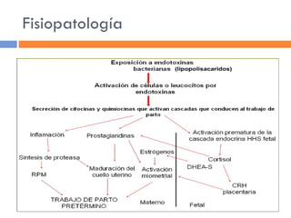 Fisiopatología 