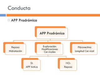 Conducta APP Prodrómica 