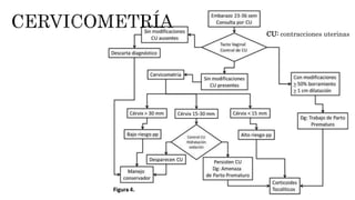 CU: contracciones uterinas
 