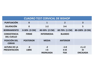 CUADRO TEST CERVICAL DE BISHOP
PUNTUACIÓN 0 1 2 3
DILATACIÓN 0 1-2 3-4 5
BORRAMIENTO 0-30% (3 CM) 40-50% (2 CM) 60-70% (1 CM) 80-100% (0 CM)
CONSISTENCIA
DEL CUELLO
FIRME INTERMEDIA BLANDO
POSICIÓN DEL
CERVIX
POSTERIOR MEDIA ANTERIOR
ALTURA DE LA
PRESENTACIÓN
-3
LIBRE
-2
I-II
INSINUADA
-1-0
II-III
FIJA
+1,+2
III
ENCAJADA
 