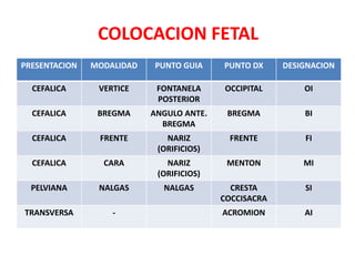 PRESENTACION MODALIDAD PUNTO GUIA PUNTO DX DESIGNACION
CEFALICA VERTICE FONTANELA
POSTERIOR
OCCIPITAL OI
CEFALICA BREGMA ANGULO ANTE.
BREGMA
BREGMA BI
CEFALICA FRENTE NARIZ
(ORIFICIOS)
FRENTE FI
CEFALICA CARA NARIZ
(ORIFICIOS)
MENTON MI
PELVIANA NALGAS NALGAS CRESTA
COCCISACRA
SI
TRANSVERSA - ACROMION AI
COLOCACION FETAL
 
