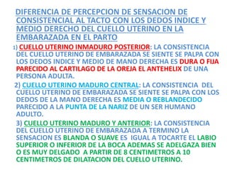 DIFERENCIA DE PERCEPCION DE SENSACION DE
CONSISTENCIAL AL TACTO CON LOS DEDOS INDICE Y
MEDIO DERECHO DEL CUELLO UTERINO EN LA
EMBARAZADA EN EL PARTO
1) CUELLO UTERINO INMADURO POSTERIOR: LA CONSISTENCIA
DEL CUELLO UTERINO DE EMBARAZADA SE SIENTE SE PALPA CON
LOS DEDOS INDICE Y MEDIO DE MANO DERECHA ES DURA O FIJA
PARECIDO AL CARTILAGO DE LA OREJA EL ANTEHELIX DE UNA
PERSONA ADULTA.
2) CUELLO UTERINO MADURO CENTRAL: LA CONSISTENCIA DEL
CUELLO UTERINO DE EMBARAZADA SE SIENTE SE PALPA CON LOS
DEDOS DE LA MANO DERECHA ES MEDIA O REBLANDECIDO
PARECIDO A LA PUNTA DE LA NARIZ DE UN SER HUMANO
ADULTO.
3) CUELLO UTERINO MADURO Y ANTERIOR: LA CONSISTENCIA
DEL CUELLO UTERINO DE EMBARAZADA A TERMINO LA
SENSACION ES BLANDA O SUAVE ES IGUAL A TOCARTE EL LABIO
SUPERIOR O INFERIOR DE LA BOCA ADEMAS SE ADELGAZA BIEN
O ES MUY DELGADO A PARTIR DE 8 CENTIMETROS A 10
CENTIMETROS DE DILATACION DEL CUELLO UTERINO.
 