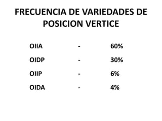 FRECUENCIA DE VARIEDADES DE
POSICION VERTICE
OIIA - 60%
OIDP - 30%
OIIP - 6%
OIDA - 4%
 