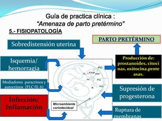 5.- FISIOPATOLOGÍA

Sobredistensión uterina

Producción de:
prostanoides, citoci
nas, oxitocina,prote
asas.

Isquemia/
hemorragia
Mediadores paracrinos y
autocrinos (FLC/IL 6)

Infección/
Inflamación

PARTO PRETÉRMINO

Supresión de
progesterona
Microambiente
coriodecidual

Ruptura de
membranas

 